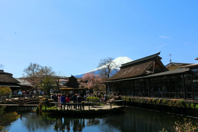 初春の忍野八海