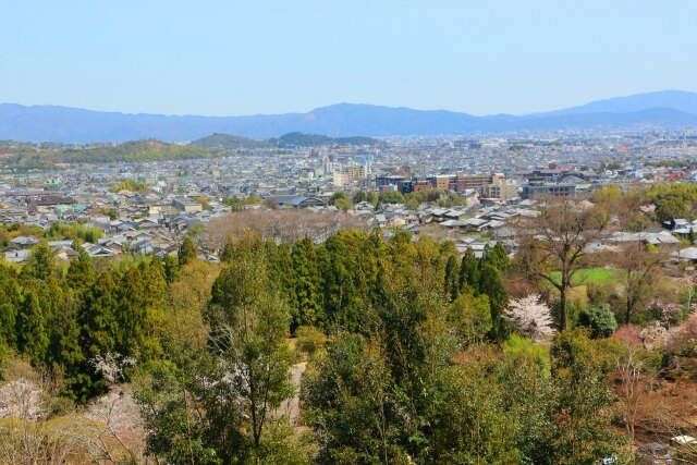 春の京都の街並み