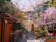 二尊院