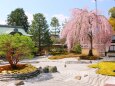 高台寺