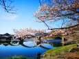 錦帯橋
