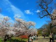 京都府立植物園