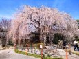 本満寺