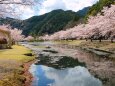 春の公園