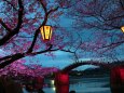 錦帯橋