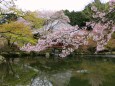 醍醐寺
