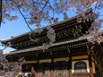 南禅寺