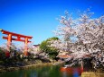 岡崎疎水