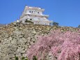 姫路城