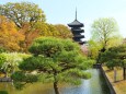 東寺