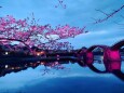 錦帯橋