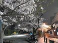 ゆうべ、昔の夢を見た
