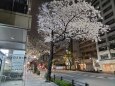 日々弾力を失っていく心