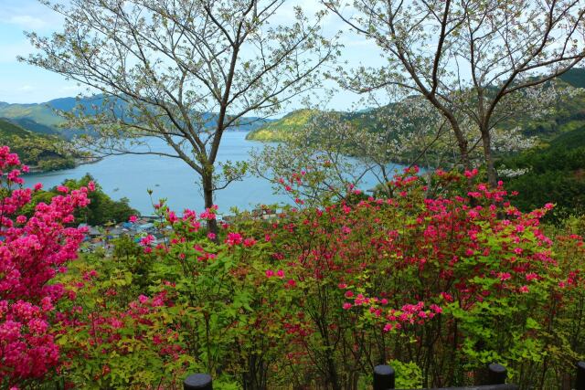 春の東紀州の海
