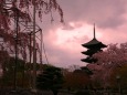 東寺