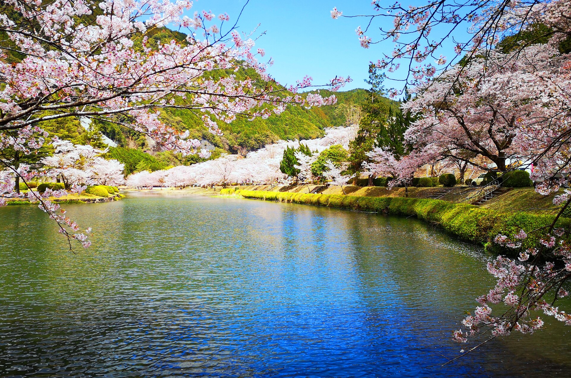 日本の春・厳選風景16年【 風景写真 3-4月号　2007〜2022年】16冊 日本の春・厳選風景16年【 風景写真 3-4月号 2007〜2022