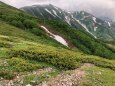 雷鳥坂にて
