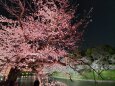 胸の奥が少し苦しくなる