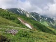 雷鳥坂にて