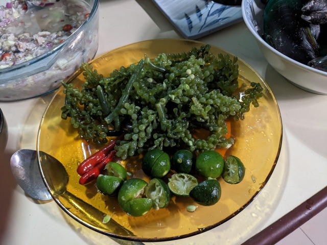 海ブドウとカラマンシ―