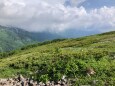 雷鳥坂にて