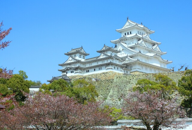桜の散った姫路城