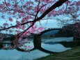 錦帯橋