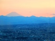 都庁から見る夕暮れの富士山