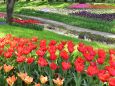 国営昭和記念公園