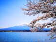 河口湖