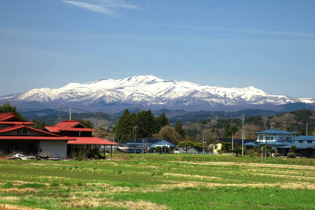 春の栗駒山