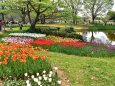 国営昭和記念公園