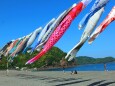 海になびく鯉のぼり