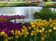 国営昭和記念公園
