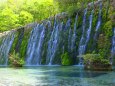 山中湖花の都公園