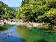 新緑と清流