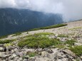 蝶ヶ岳にて