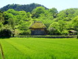 新緑いっぱいの静かな里山