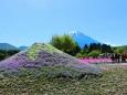 ダブル富士山