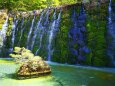 山中湖花の都公園