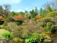 春の忍野