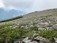 蝶ヶ岳にて