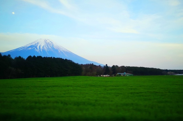 新緑と富士山