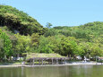 新緑の公園