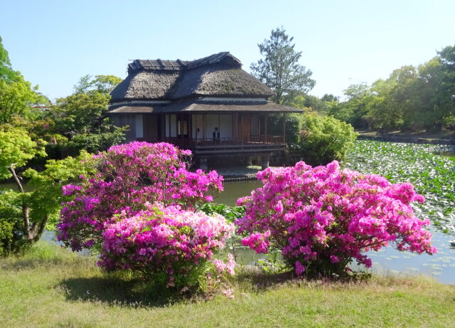 池の中の小さな島にある茶屋