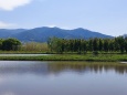 下原の春