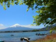 新緑の河口湖