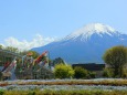 新緑富士山鯉のぼり