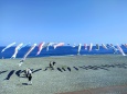 海に泳ぐ鯉のぼり
