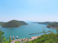 日生の海 牡蠣筏 2